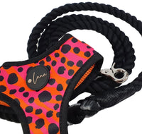 Black Cotton Rope Dog Lead By The Luna Co