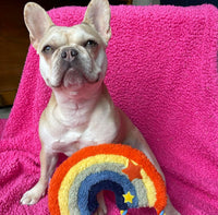 Rainbow Rope Plush Dog Toy By House Of Paws