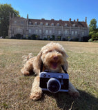 Camera Plush Dog Toy By P.L.A.Y