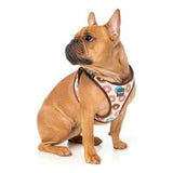Go Nuts Donuts Step In Dog Harness By Fuzzyard