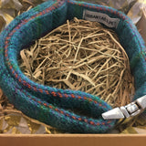 Harris Tweed Teal Dog Collar Handmade By Urban Tails