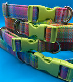 Neon Check Dog Collar Handmade By Urban Tails