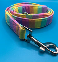 Rainbow Bright Stripe Dog Lead Handmade By Urban Tails