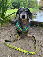 Skater Gator Step In Dog Harness By FuzzYard
