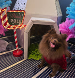 Santa Paws Festive Christmas Party Sunday 14th Dec @ Mi Coffee & Cake