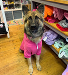 Hot Pink Cosy Dog Hoodie