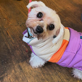 Camplife Puffer Purple Dog Jacket By GF Pet