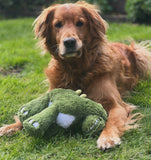 Big Paws Squeaker Dino Dog Toy By House of Paws