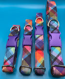 Vibrant Check Dog Collar Handmade By Urban Tails