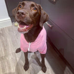 Bubblegum Pink Cosy Dog Hoodie