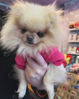 Hot Pink Cosy Dog Hoodie