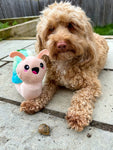 Pooch Garden Snail Dog Toy By Hugsmart
