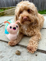 Pooch Garden Snail Dog Toy By Hugsmart