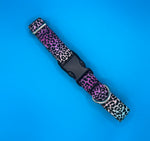 Rainbow Animal Print Dog Collar Handmade By Urban Tails