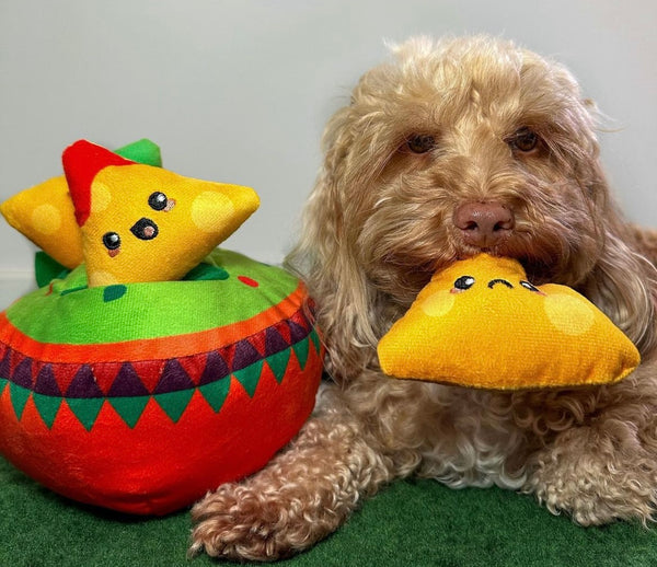 Fiesta Chewsday Nachos Hide & Seek Dog Toy By Hugsmart