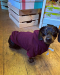 Burnt Burgundy Cosy Dog Hoodie