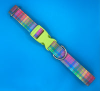 Neon Check Dog Collar Handmade By Urban Tails