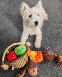 Apple Basket Hide & Seek Dog Toy By Hugsmart