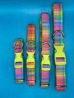 Neon Check Dog Collar Handmade By Urban Tails