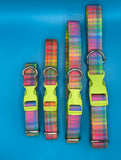 Neon Check Dog Collar Handmade By Urban Tails