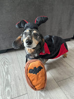 Halloween Vampire Dracula Costume & Toy Kit By Zippy Paws