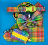 Neon Check Poo Bag Holder Handmade By Urban Tails