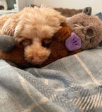 Snooziez Shhhqueaker Otter By Zippy Paws