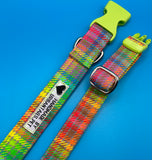 Neon Check Dog Collar Handmade By Urban Tails