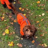 Reflective Orange Overalls Dog Jacket By Hugo & Hudson