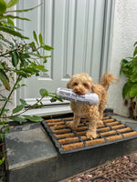 Fetch Slipper & Newspaper Duo Toy By FuzzYard