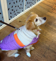 Camplife Puffer Purple Dog Jacket By GF Pet