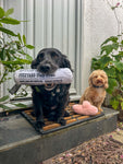 Fetch Slipper & Newspaper Duo Toy By FuzzYard
