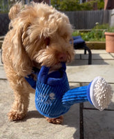 Blooming Buddies Wagging Watering Can Dog Toy By P.L.A.Y
