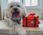 Suitcase Plush Dog Toy By P.L.A.Y