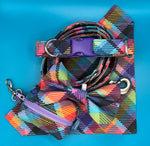 Vibrant Check Handmade Collection By Urban Tails
