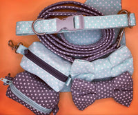 Star Struck Mint Dot Dog Lead Handmade By Love From Betty X Urban Tails