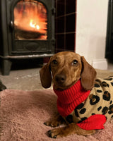 S M XL XXL Animal Print Dog Jumper By House Of Paws