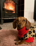 S M XL XXL Animal Print Dog Jumper By House Of Paws