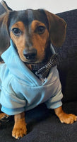 Sky Blue Cosy Dog Hoodie