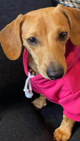 Hot Pink Cosy Dog Hoodie