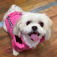 Rainstorm Pink Dog Jacket By Urban Pup