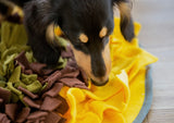 Sunflower Snuffle Feeding Mat By Injoya