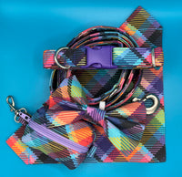 Vibrant Check Dog Lead Handmade By Urban Tails