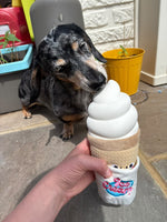 Ice Cream Toy By Hugsmart