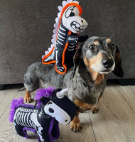 Skeleton T Rex Dino Dog Toy By House Of Paws