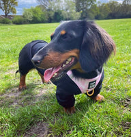 XL Cotton Candy Pink Step In Harness By Doodle Couture