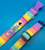 Rainbow Bright Stripe Dog Collar Handmade By Urban Tails