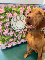 4th Oct Love From Betty Socials Mixed Gentle Giants Larger Breeds  @ Mi Coffee & Cake Sandhurst