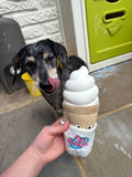 Ice Cream Toy By Hugsmart