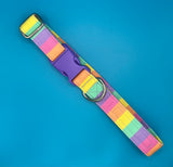 Rainbow Bright Stripe Dog Collar Handmade By Urban Tails